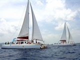 View Party Catamaran Cruises Photo