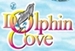 Visit Dolphin Cove at Treasure Reef