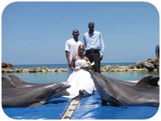 Dolphin Cove at Treasure Reef