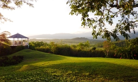 Green Castle Estate House View